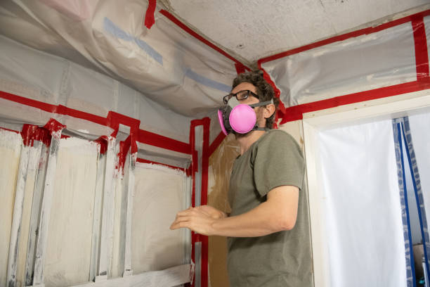 Best Commercial Mold Inspection  in Dacula, GA