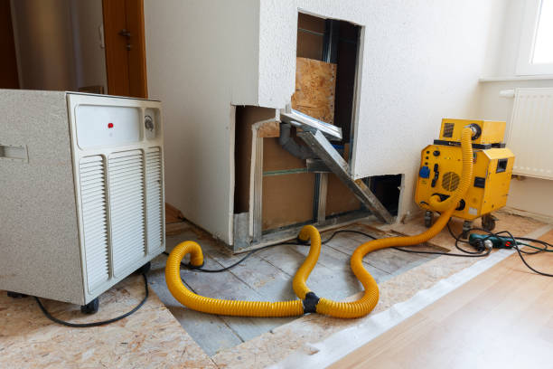 Best Mold Damage Restoration  in Dacula, GA
