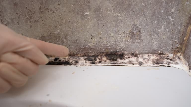 Best Mold Removal for HVAC Installations  in Dacula, GA